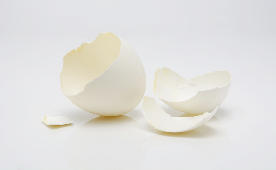 Broken egg shells